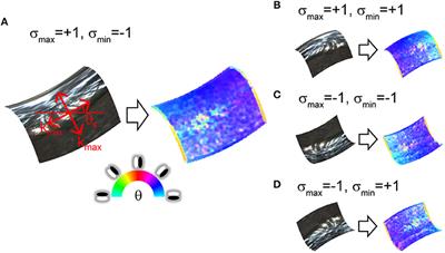 Computational Model for Human 3D Shape Perception From a Single Specular Image